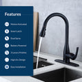 Flow Motion Activated Kitchen Faucet Bidet