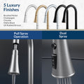 Flow Classic Kitchen Faucet Bidet