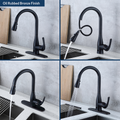 Flow Motion Activated Kitchen Faucet Bidet