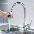 Flow Motion Activated Kitchen Faucet Bidet