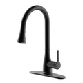 Flow Classic Kitchen Faucet Bidet